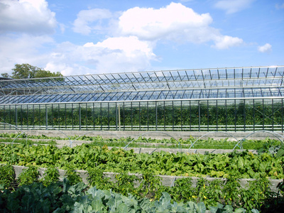 wetterfeste Etiketten im Gartenbau